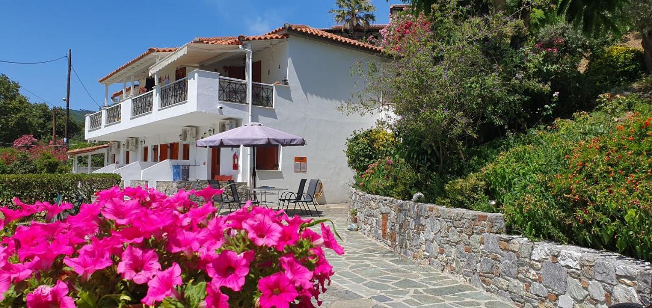 Drosia Apartments Platanias  Exteriér fotografie